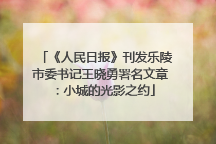 《人民日报》刊发乐陵市委书记王晓勇署名文章：小城的光影之约